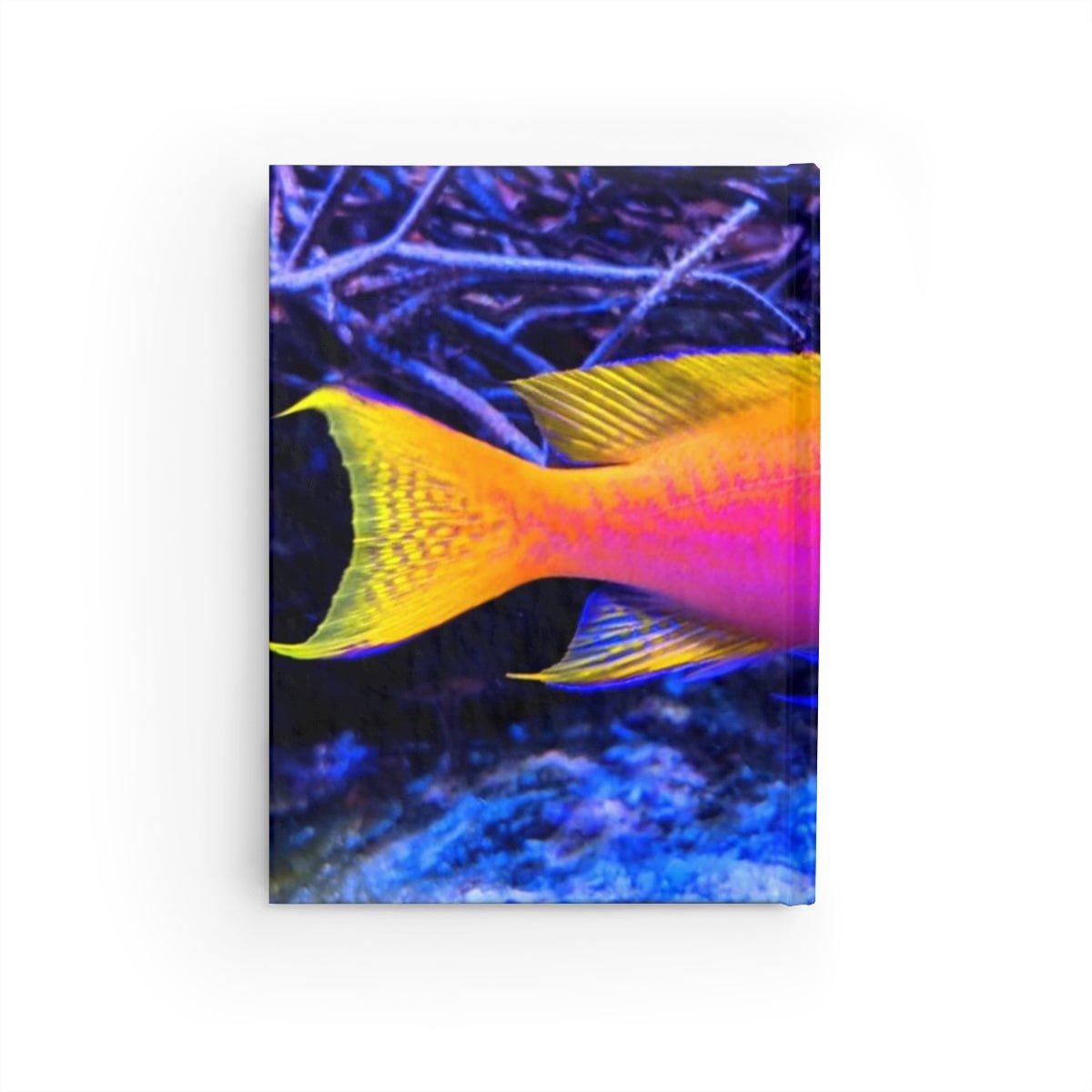 Fish Journal - Ruled Line - giftsforintroverts.com