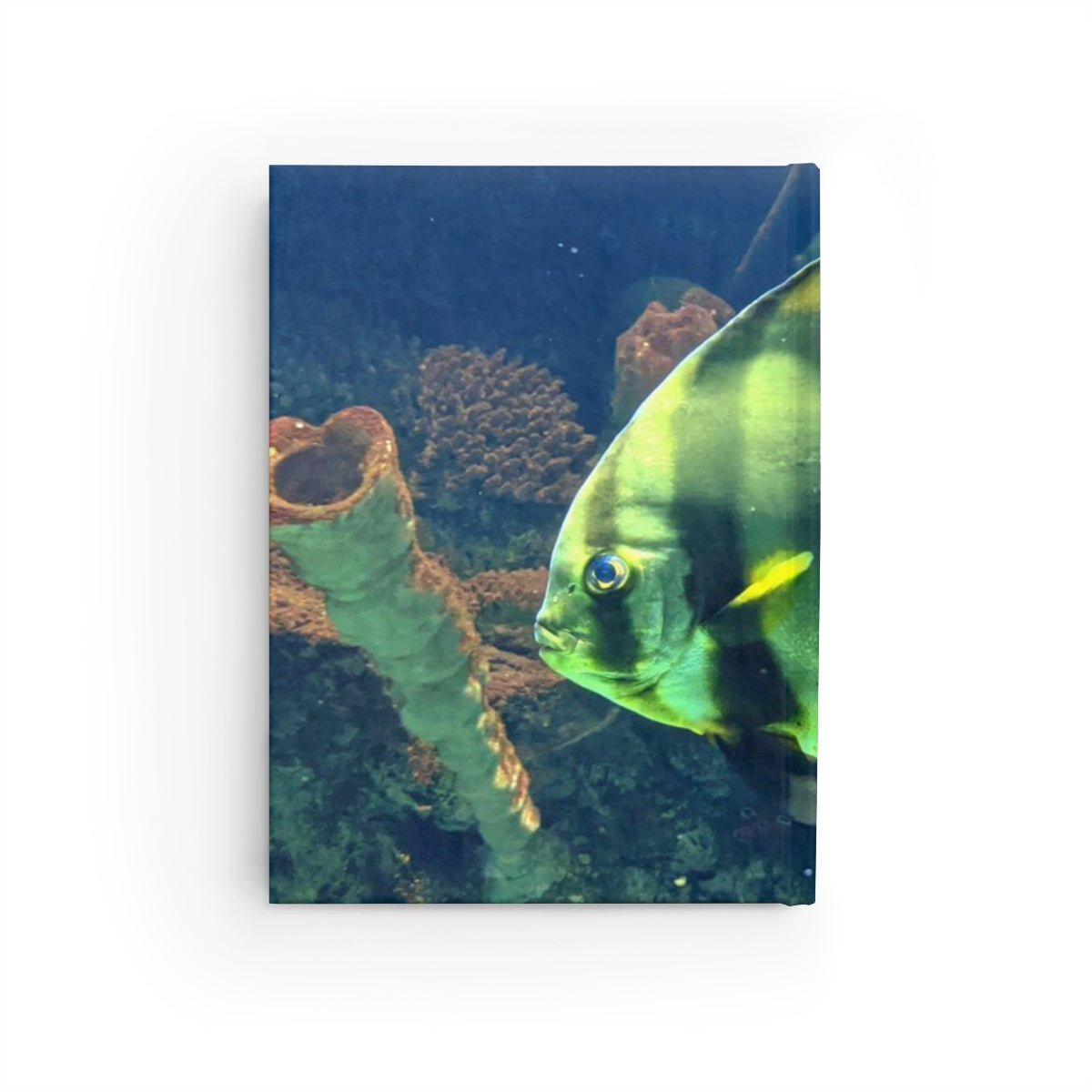 Fish Journal - Ruled Line - giftsforintroverts.com