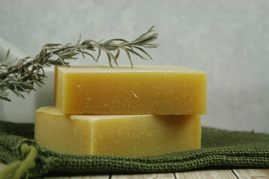 Natural Campers Shampoo & Body Bar - Insect - giftsforintroverts.com
